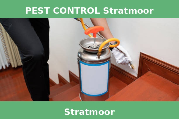 PEST CONTROL Stratmoor